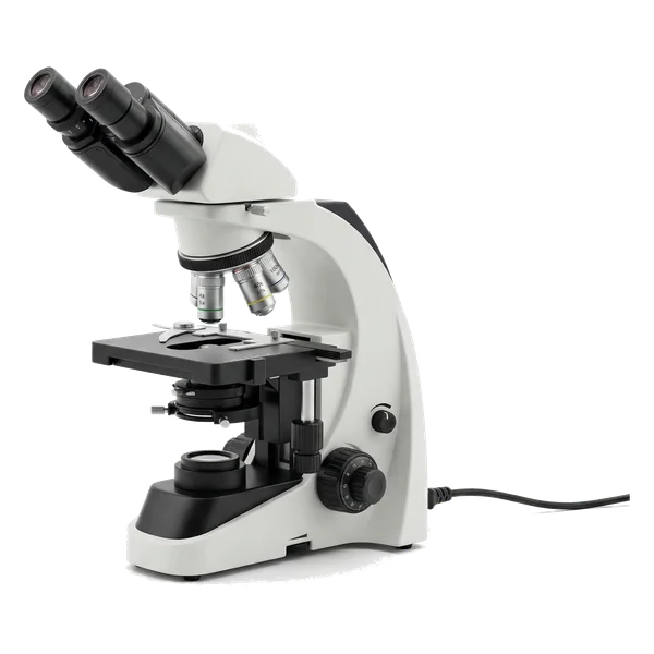 Microscopio binocular