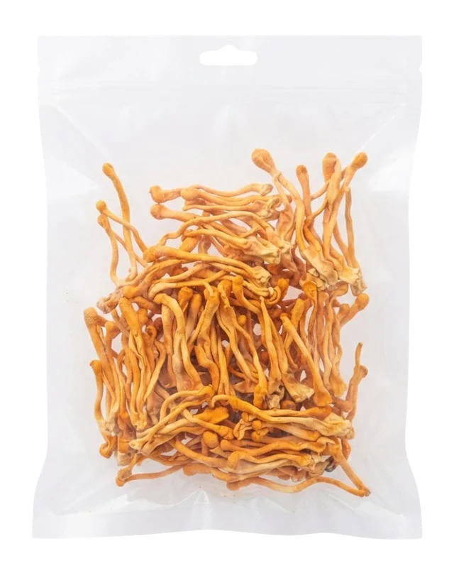 Cordyceps al por mayor