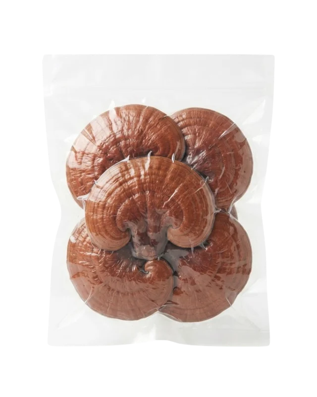Ganoderma al por mayor