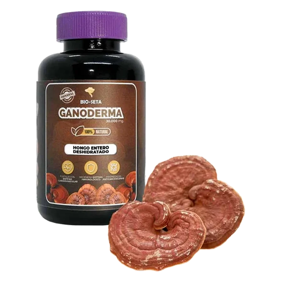 Frasco de Ganoderma en hongo entero deshidratado, con los hongos a un lado